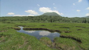 Wild Hokkaido! 1. évad Ep.9 9. epizód