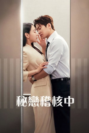 은밀한 감사 poszter