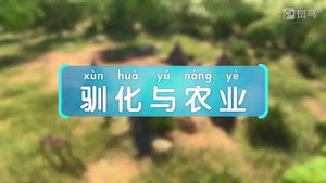 斑马百科 23. évad Ep.9 9. epizód