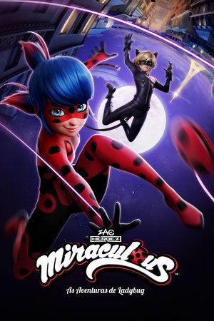 Miraculous Katicabogár és Fekete Macska kalandjai poszter