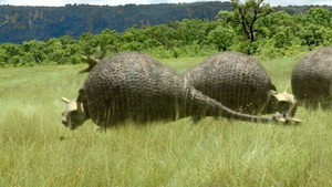 Walking with Beasts kép
