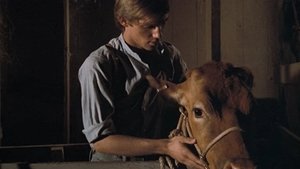 The Waltons 1. évad Ep.3 3. epizód