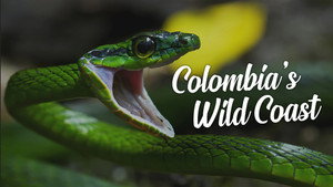 Colombia's Wild Coast kép