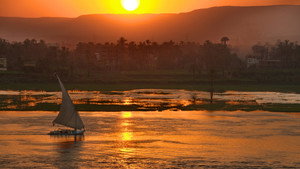 Wild Nile kép
