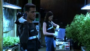 CSI: A helyszínelők 6. évad Ep.5 Rágónyomon