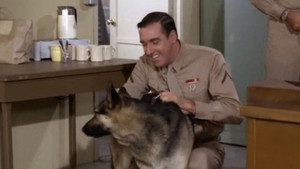 Gomer Pyle, U.S.M.C. 4. évad Ep.19 19. epizód