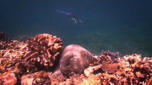 Dyesebel kép