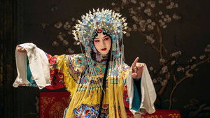 鬓边不是海棠红 kép