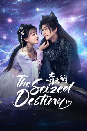 夺天阙 poszter