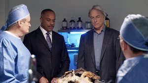 NCIS: Tengerészeti helyszínelők 15. évad Ep.8 Hangok