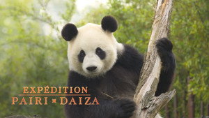 Expédition Pairi Daiza kép