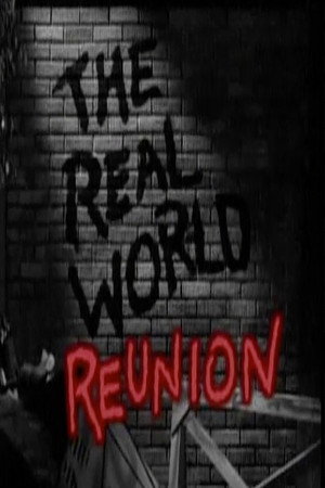 The Real World Speciális epizódok (1996-02-17) poszter