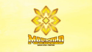 マリーゴールド kép