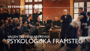 Vetenskapens värld 48. évad Ep.7 7. epizód