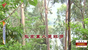 外来媳妇本地郎 12. évad Ep.4103 4103. epizód