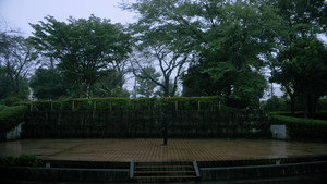 不能犯 kép