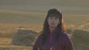 望夫崖 kép