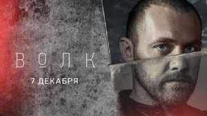 Волк kép