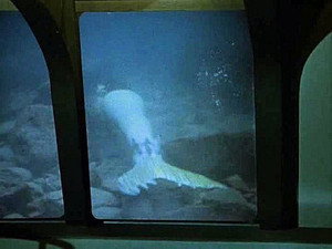 Voyage to the Bottom of the Sea 3. évad Ep.19 19. epizód