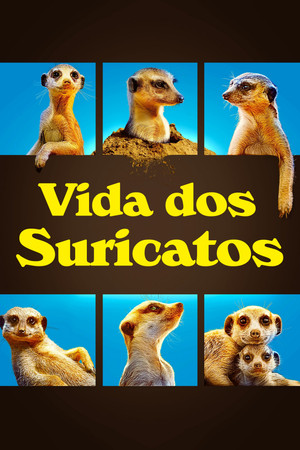 Meet The Meerkats poszter