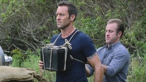 Hawaii Five-0 7. évad Ep.18 18. epizód