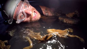 I'm a Celebrity...Get Me Out of Here! 16. évad Ep.13 13. epizód