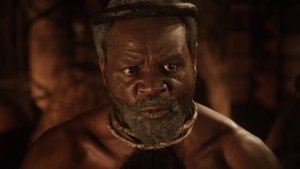 Shaka Zulu kép