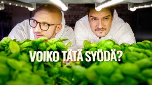Voiko tätä syödä? kép
