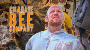 Charlie Bee Company kép