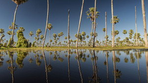 Wild Argentina: Extreme Earth kép
