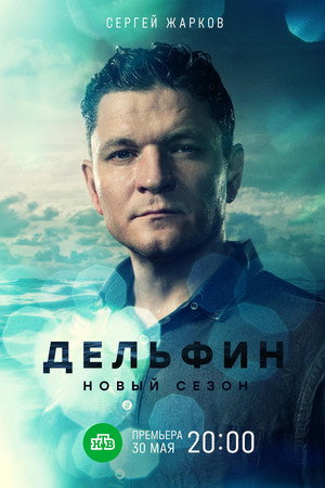 Дельфин poszter