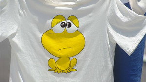 ど根性ガエル kép