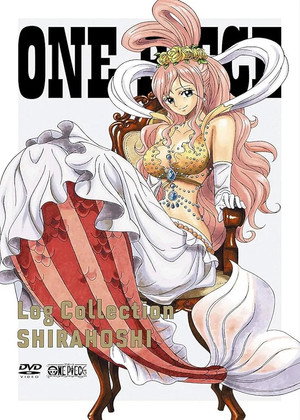 One Piece poszter