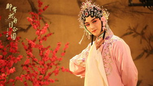 那年花开月正圆 kép