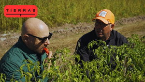 Proyecto Tierras 4. évad Ep.6 6. epizód