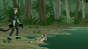 Állati küldetés 3. évad Ep.14 A floridai puma nyomában