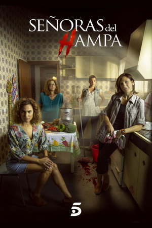 Señoras del (h)AMPA poszter