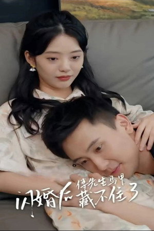 闪婚后，傅先生马甲藏不住了 poszter