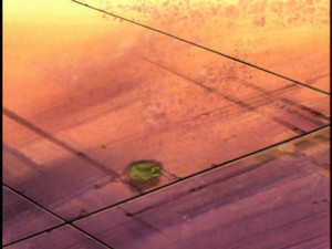 Beyblade 2. évad Ep.44 44. epizód