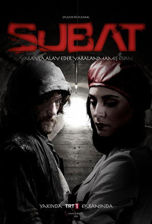 Şubat poszter