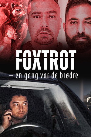 Uppdrag granskning: En gång bröder poszter