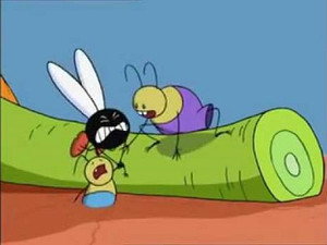 Les aventures d'une mouche 1. évad Ep.24 24. epizód
