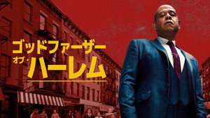 Godfather of Harlem kép