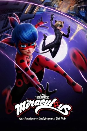 Miraculous Katicabogár és Fekete Macska kalandjai poszter