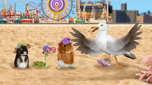 Wonder Pets: In the City 2. évad Ep.9 Tengerparti buli!/Mentsd meg a szavannai barátokat!