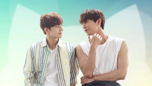 사랑은 고양이처럼 kép