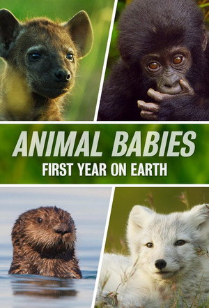 Animal Babies: First Year On Earth poszter