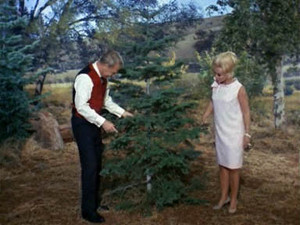Green Acres 2. évad Ep.13 13. epizód