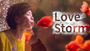 Love Storm kép