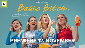Basic Bitch kép